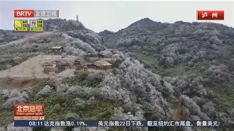 奥林匹亚科斯悲歌再现，彷徨结局似梦亦似幻的简单介绍